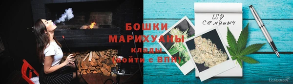 гидра Няндома