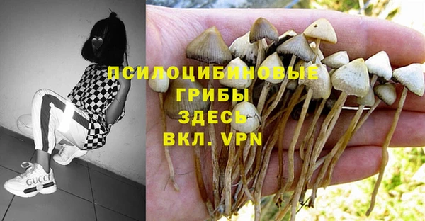 спайс Белокуриха