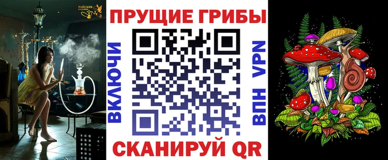 Псилоцибиновые грибы Psilocybine cubensis  Онега 
